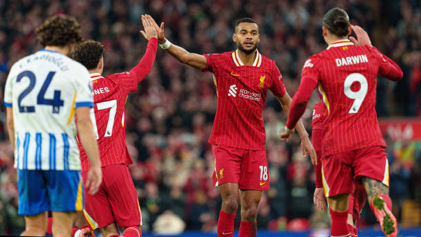 实力和潜力 实力和潜力